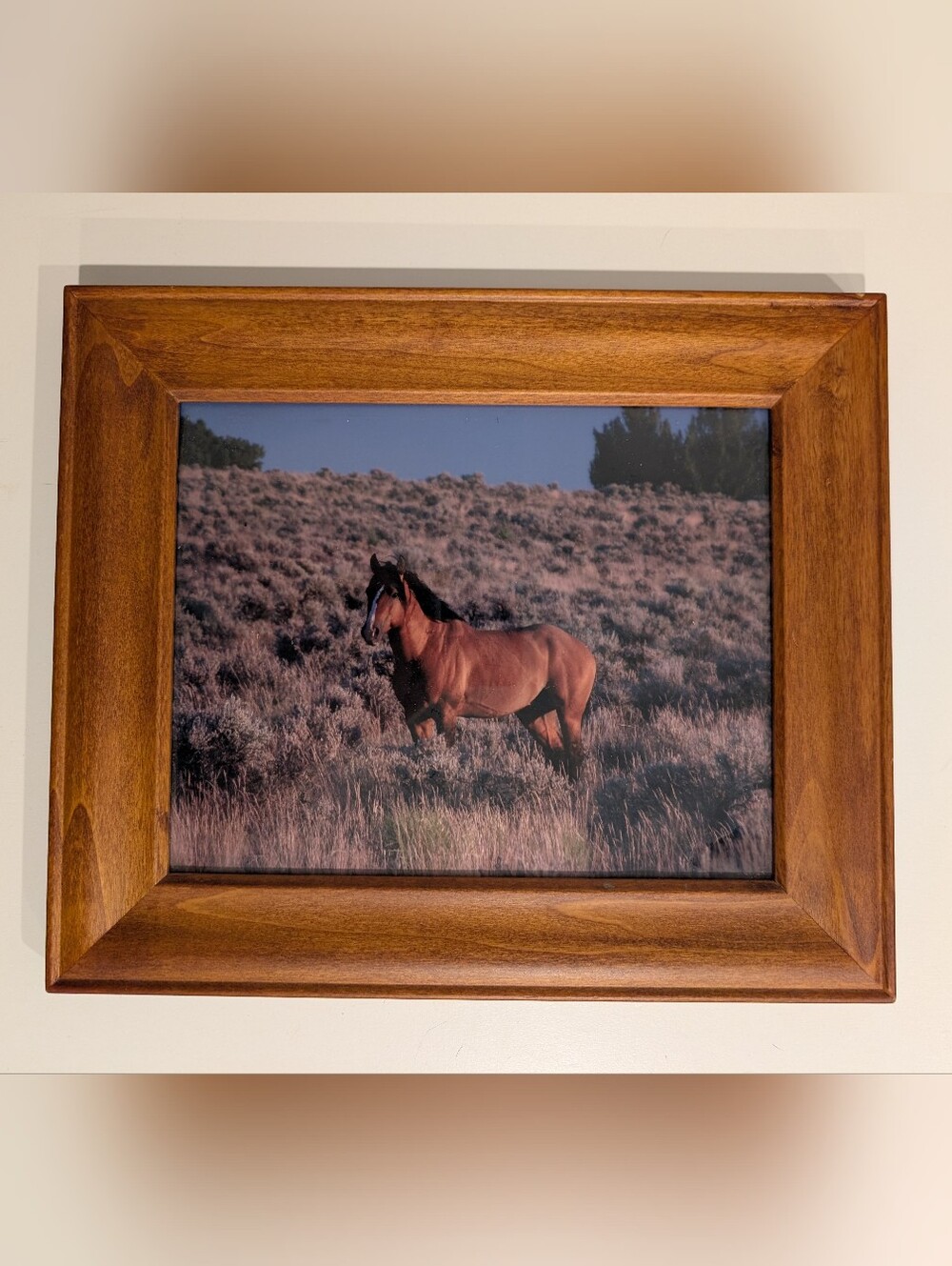 Framed Wild Mustang Wall Art - Brown Horse Print